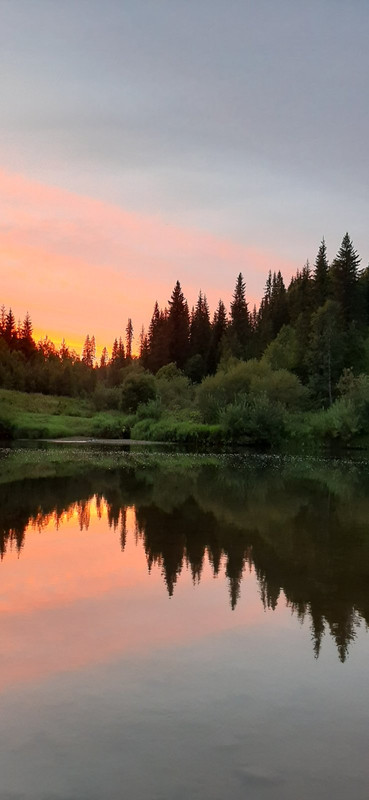 изображение_viber_2020-08-07_22-33-32