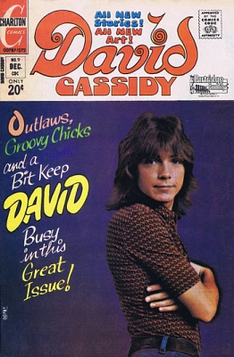 David Cassidy 9