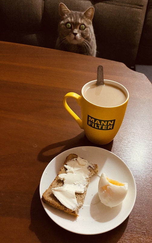 5C65EA12-C9F6-4162-A078-C8EE20C4C901