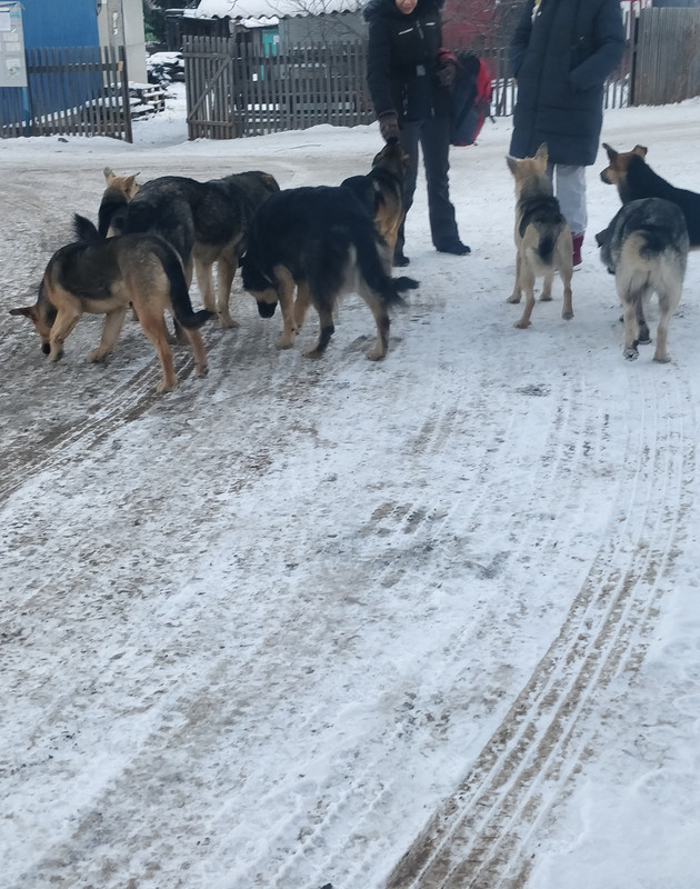 IMG_20221218_093259__01