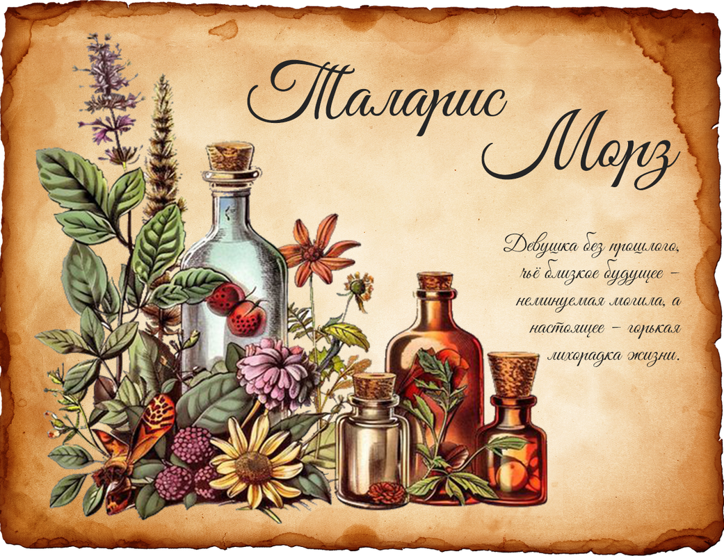 Оглавление