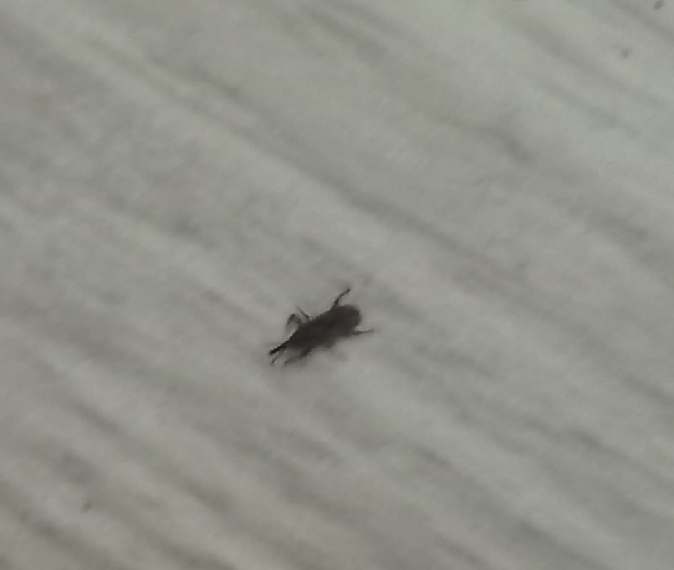 Изображение WhatsApp 2025-07-02 в 22.23.00_8a05066e