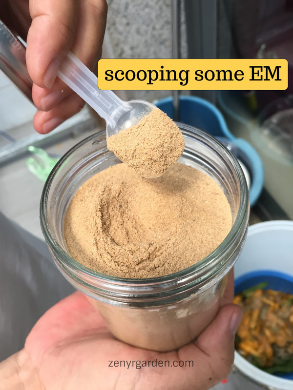 step-02-scooping-some-EM.jpg