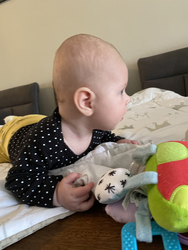 828B952C-7864-4BC3-83CE-E9077AE91010