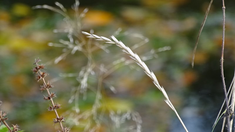 [Image: DSC04005.jpg]