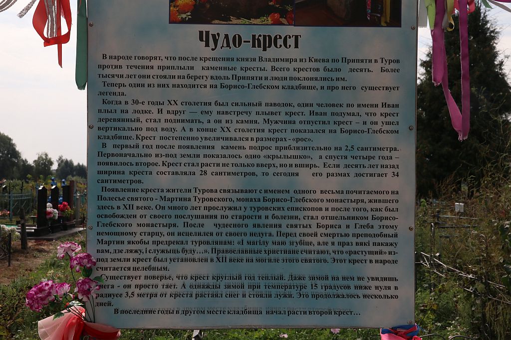 https://i.postimg.cc/gjGbbcFD/IMG-6672.jpg
