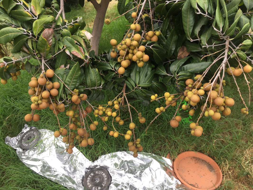 AD0DBFA8-B3CA-41D2-8FF7-7FF3E76D09B0