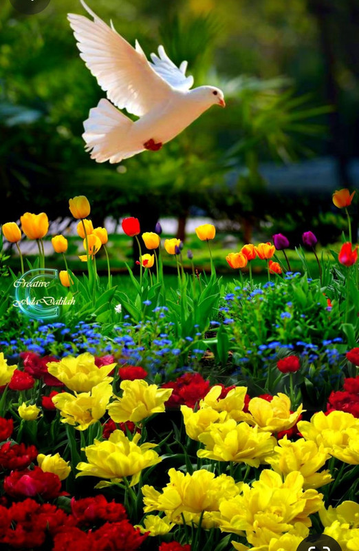 Screenshot_20240331_170047_Pinterest