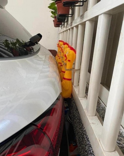 thumbs-picdump840-051.jpg