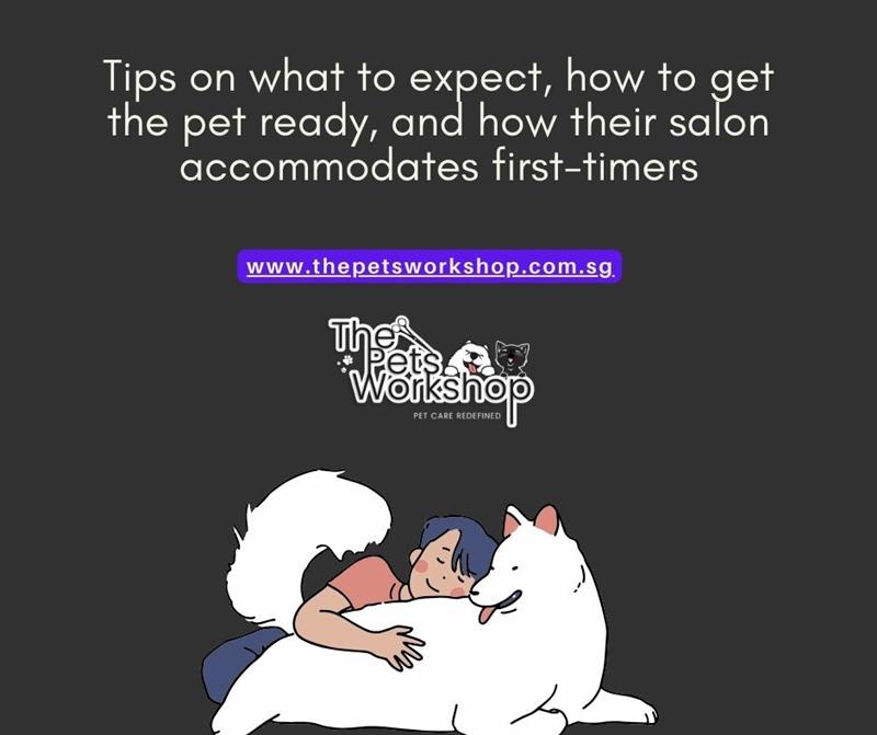 Tips on what to expect, how to get the pet ready, and how their salon accommodates first-timers-The 