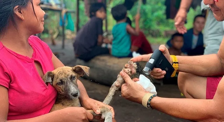 Diputados aprueban dictamen para bienestar y trato digno de animales