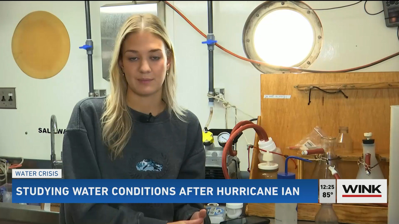 10.24 - 17.00.00 - The WINK Noon News  ᴺᵉʷ. Midday news update..ts_snapshot_32.03.853