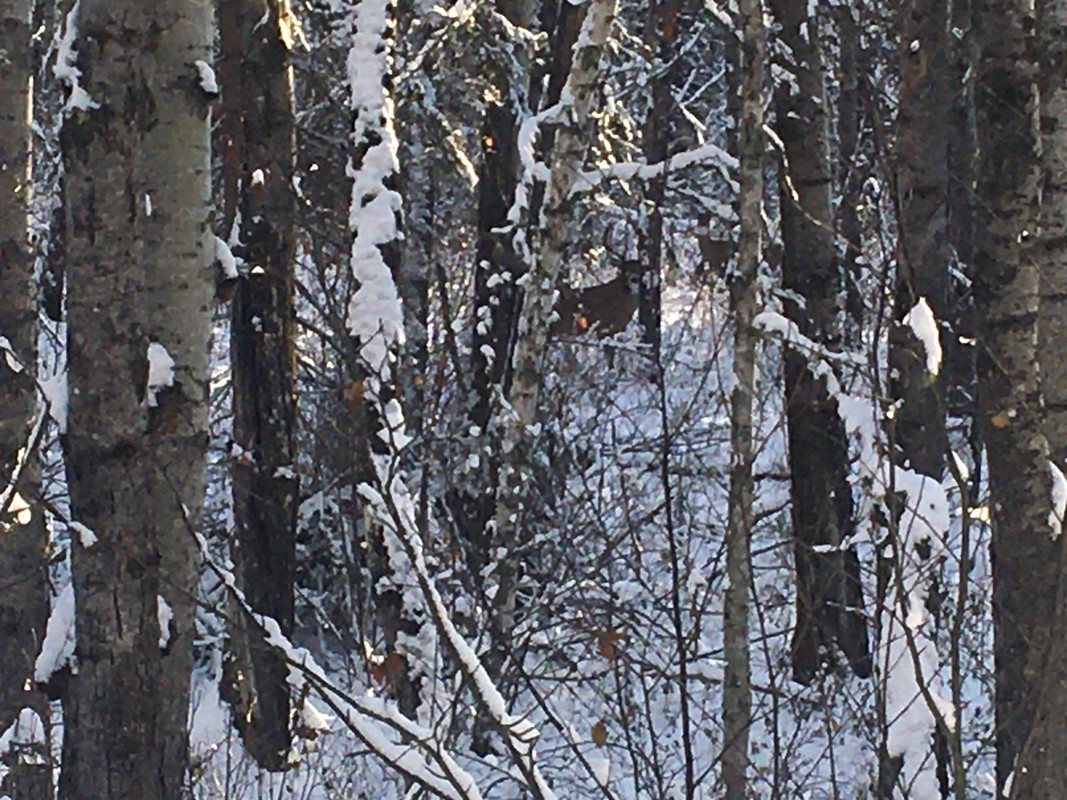 55CEA948-80D3-41DC-912A-F809483CA351