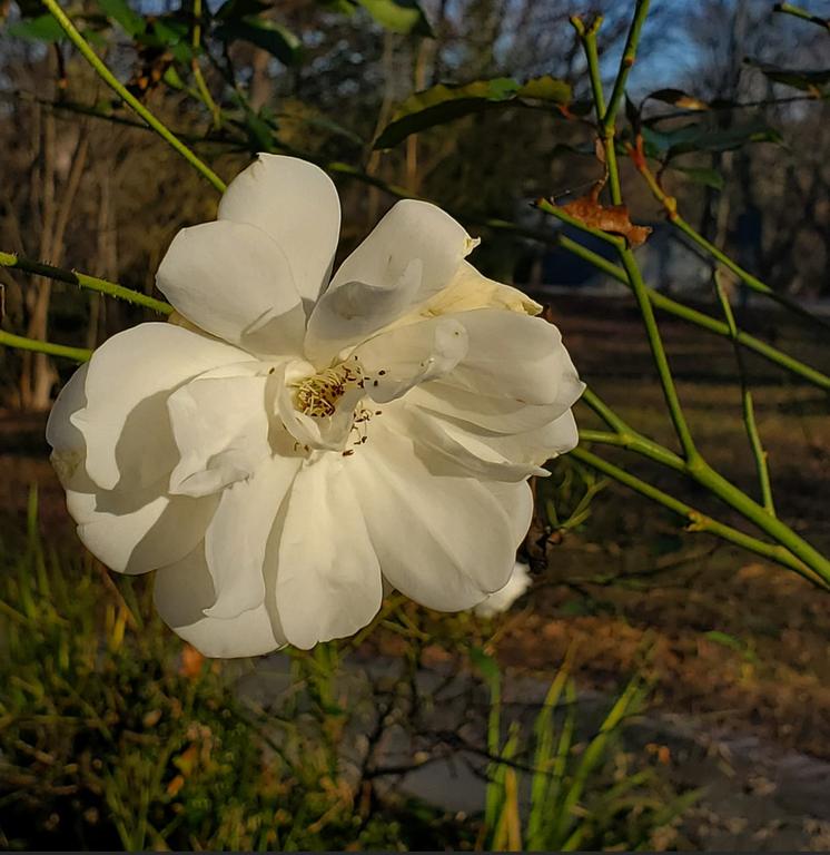 [Image: 20251227Ky155202.jpg]