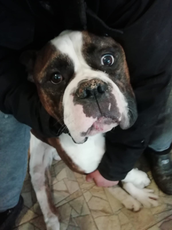 451B9DD5-3897-4132-BA46-1AB967B90B1E