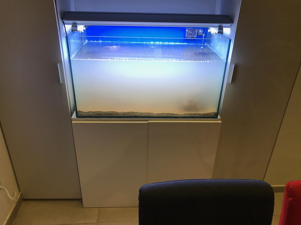 49CF6F45-EAB7-4C89-99E0-2EC486E99363