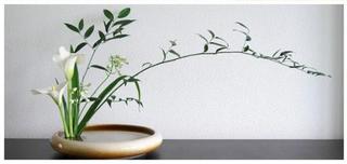 Tập Thơ Họa TNBC Nhất Lang Nguyễn Thành Sáng & Tam Muội Lê Thị Vân Quỳnh Ikebana3