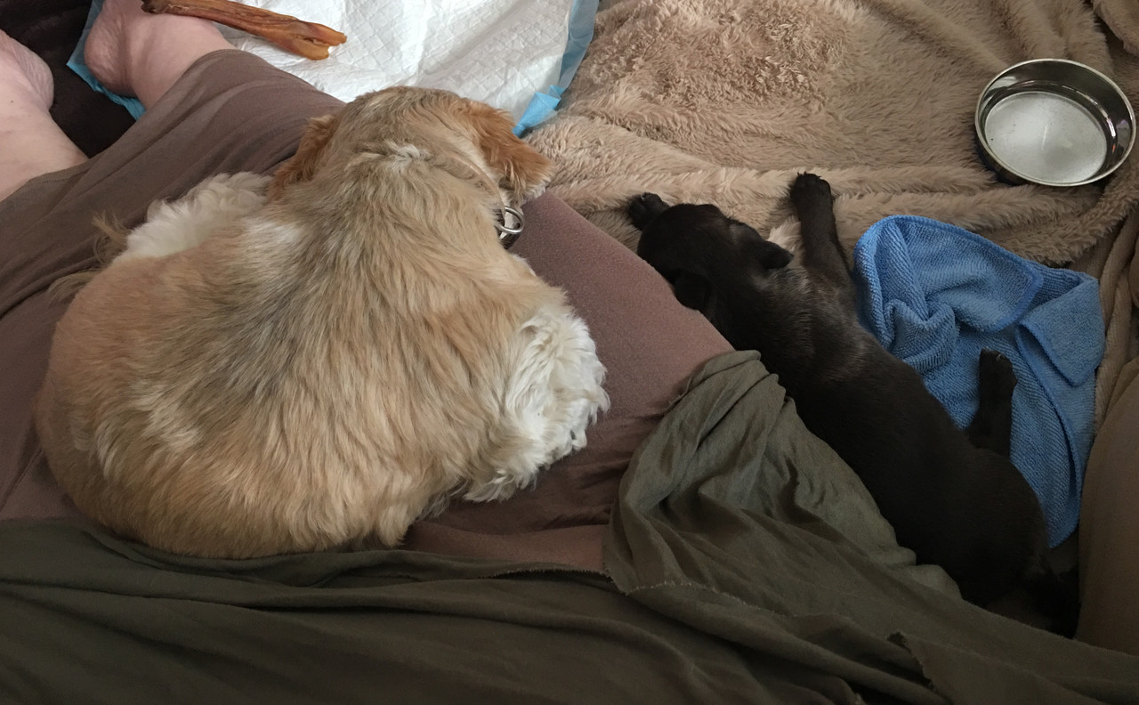 F2551B91-81C3-49C7-B94F-B60DAA6F31E7