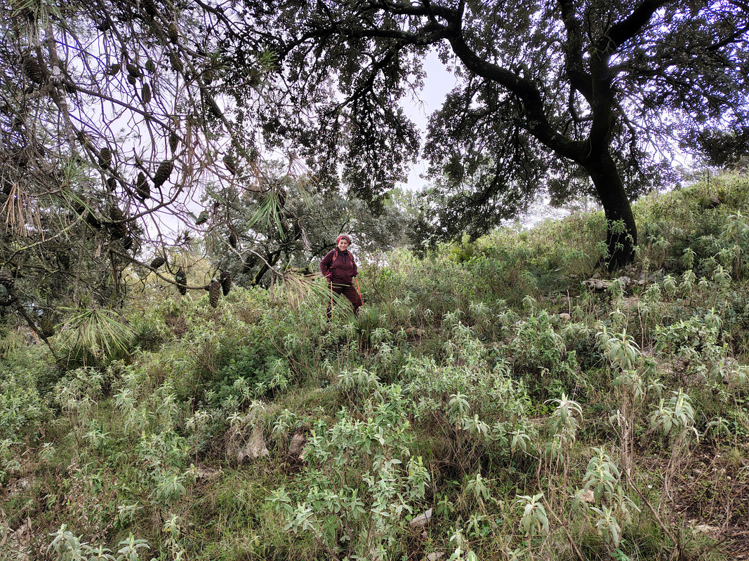 IMG 20260124 123105747 HDR