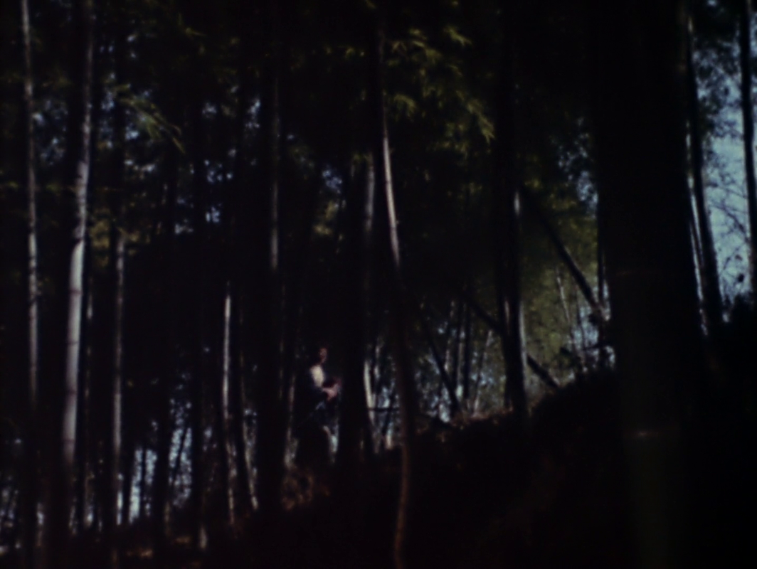 vlcsnap-2025-06-08-02h06m20s095