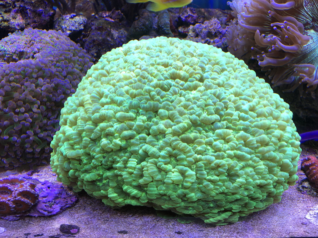 C9C46E3D-F0FA-44CA-82EE-D2F1EEF6F1F7