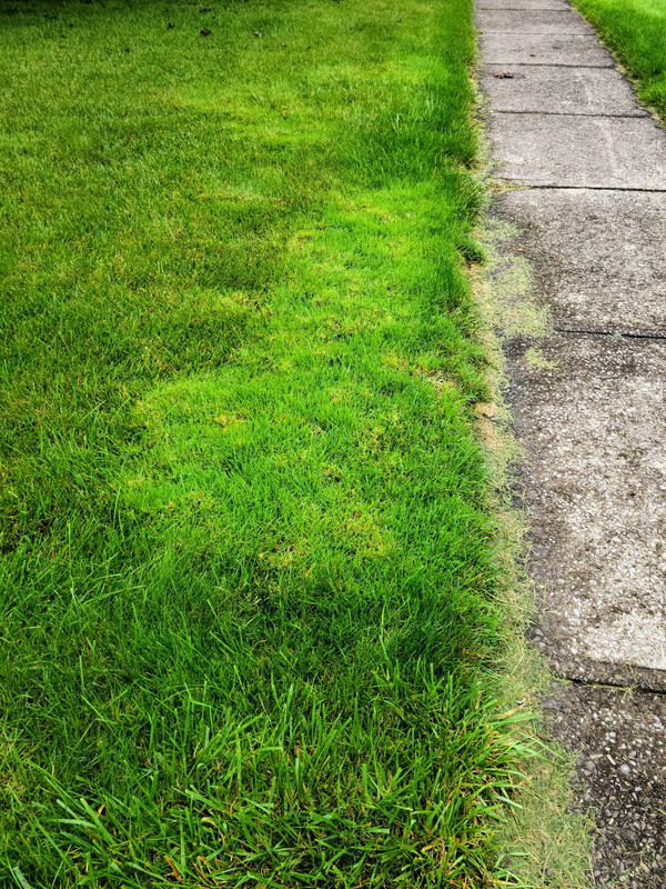 Resized_Resized_20211005_084419_62408065948378