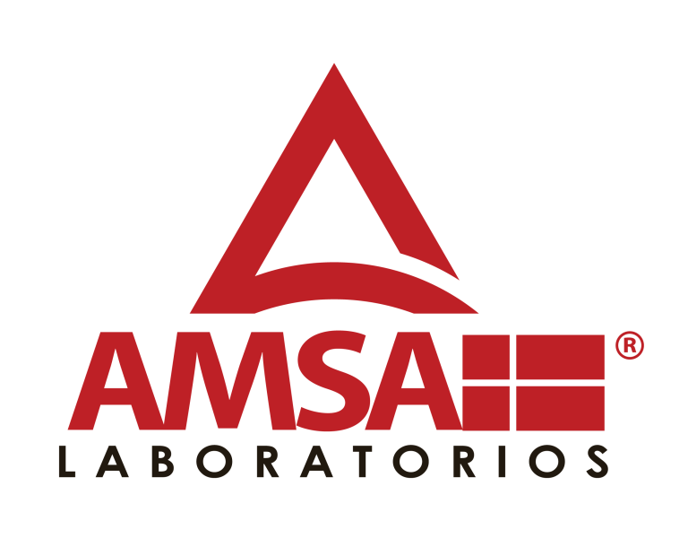 logo de amsa