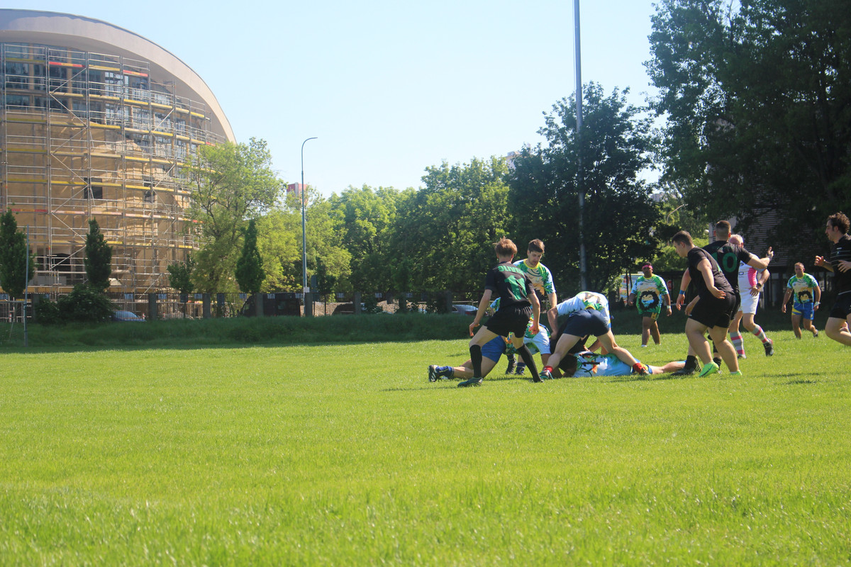 IMG-0393