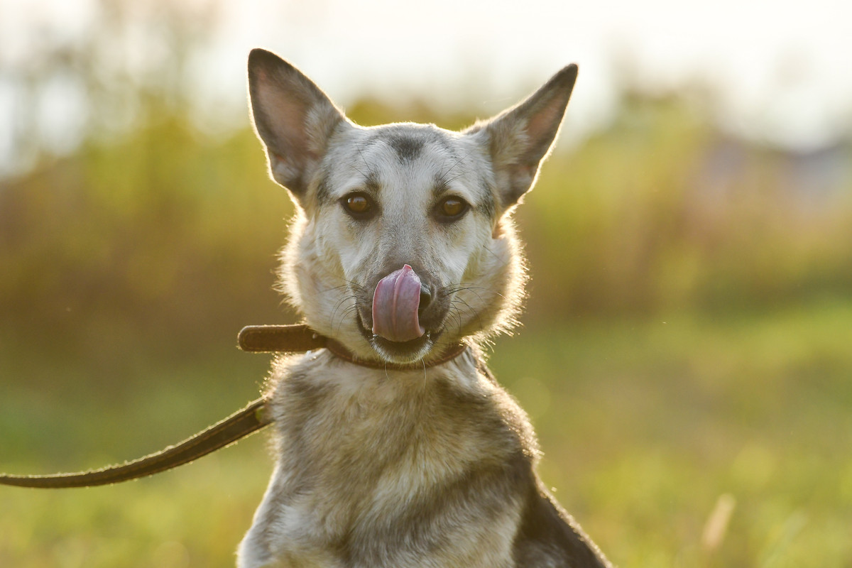 SAVE_20211010_194601