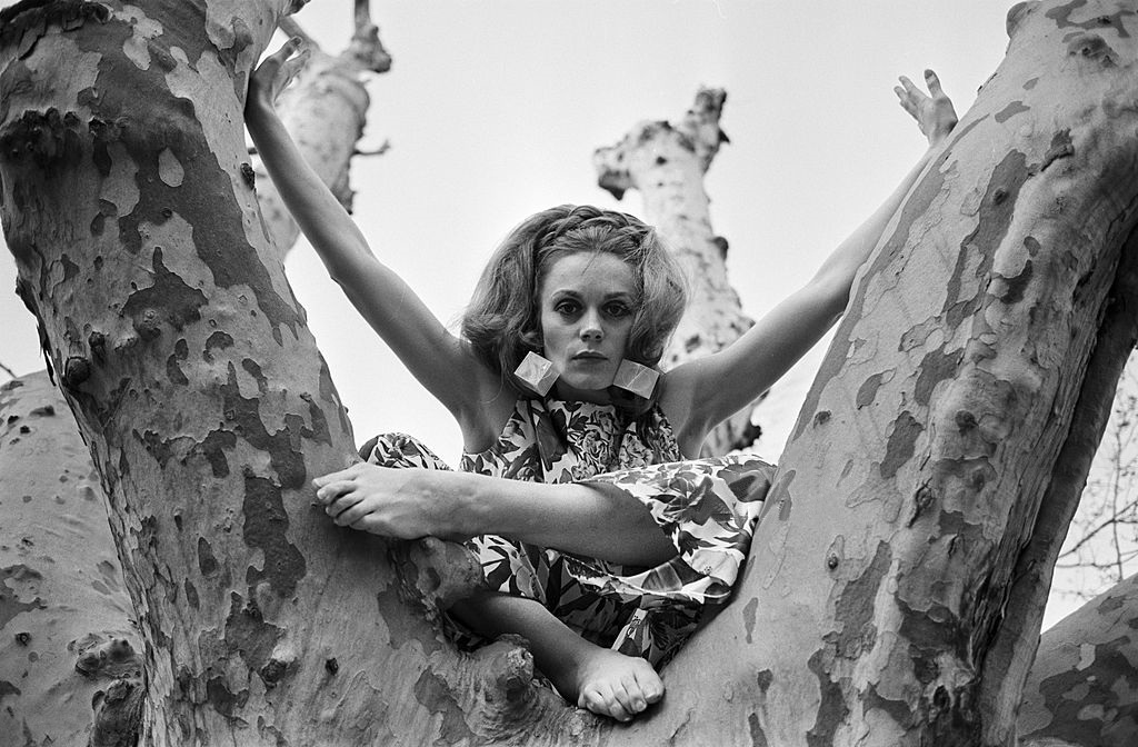 francoise_dorleac_zb14