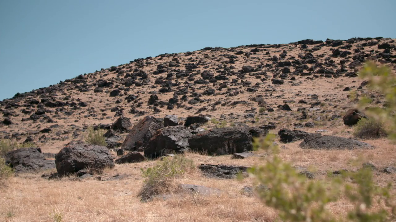 Beyond Oak Island S01E06 snap 7