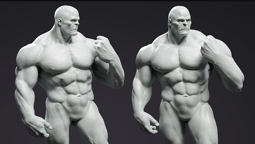 FlippedNormals - Introduction to Anatomy