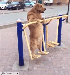 EFwa75-P-thumb-gif-5898dfee61e39b35949e2ccee93ff20f.gif