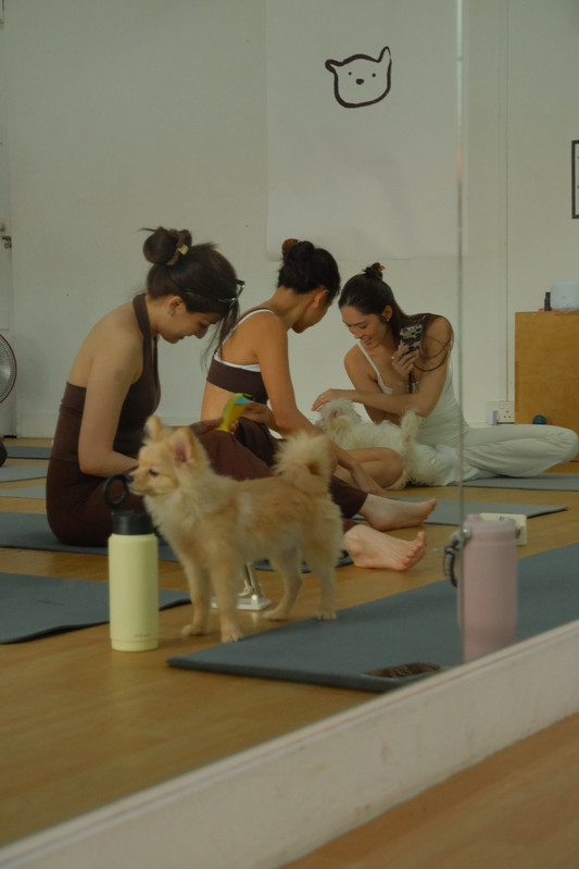 What to expect at your first puppy yoga class at Paws and Flo Singapore