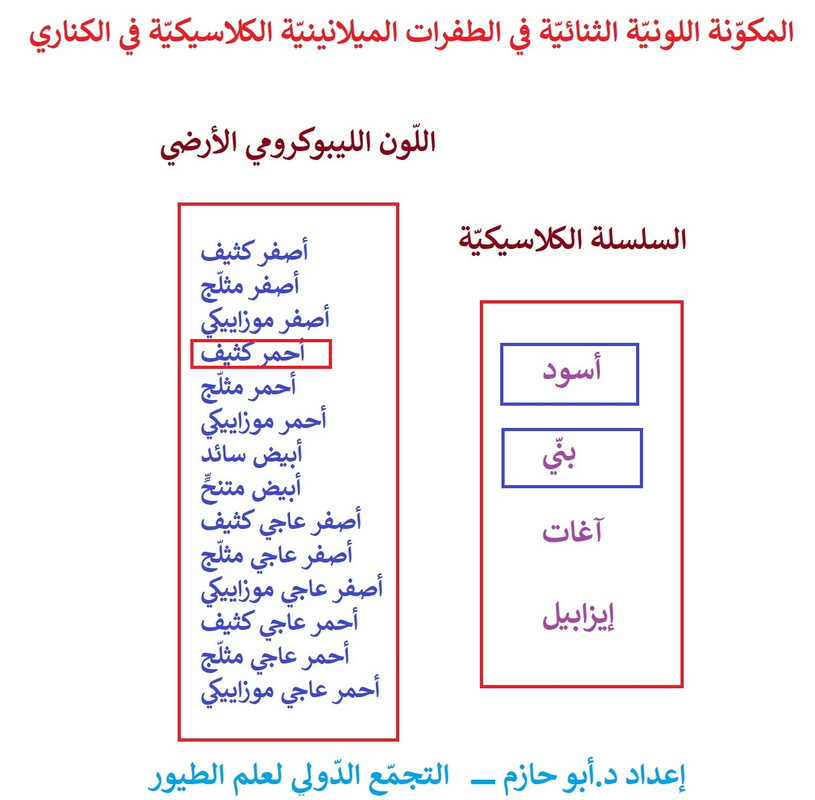 صورة