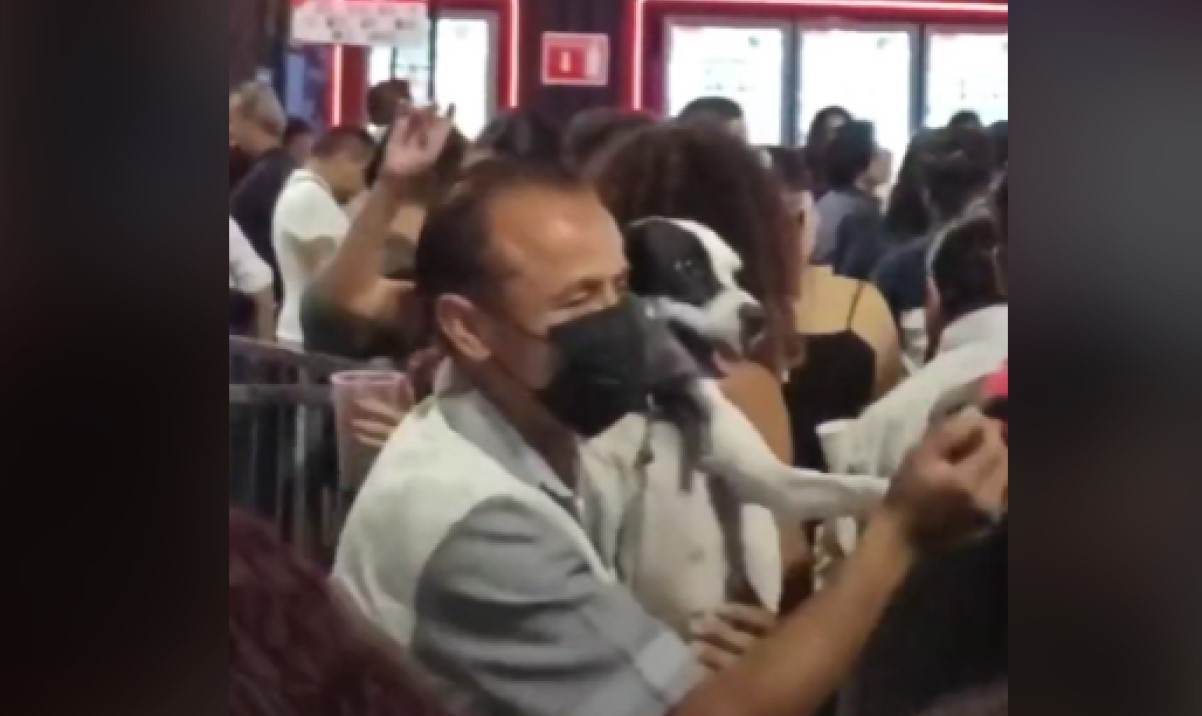 Señor lleva a su perrito al bailongo, los comentarios son demasiado chistosos