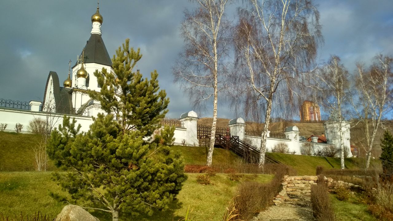 IMG_20221106_201737_987