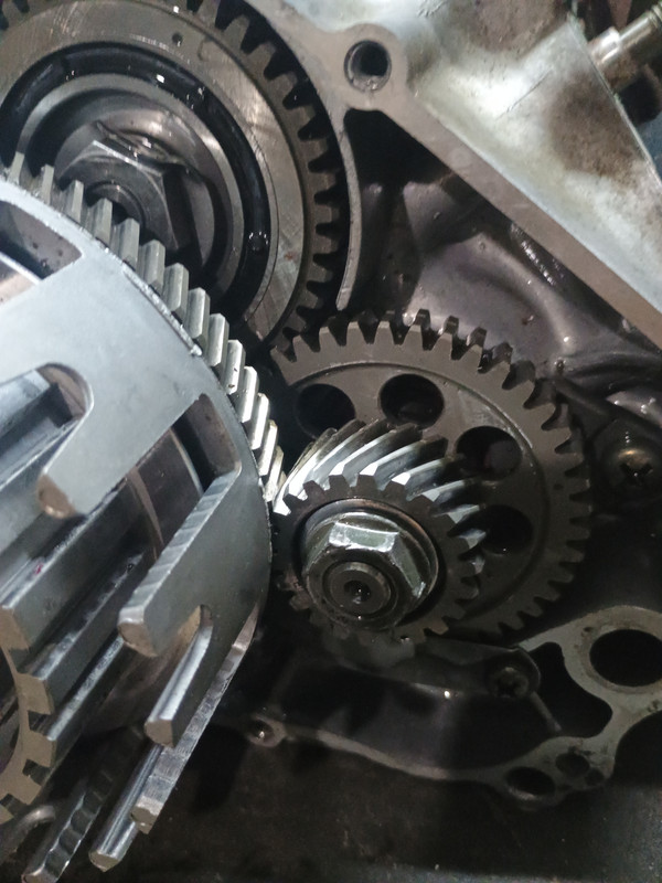 17651216287072943034038706536970