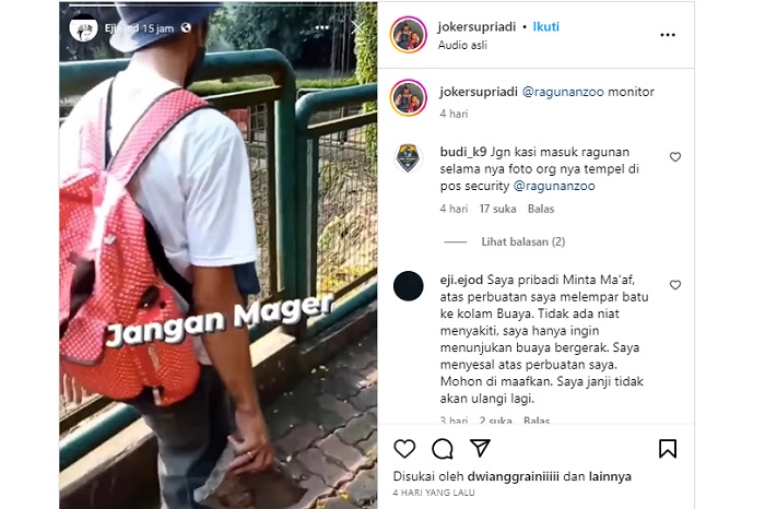 Viral unggahan video yang memeperlihatkan seorang pengunjung di Kebun Binatang Ragunan melemparkan batu ke kolam buaya.
