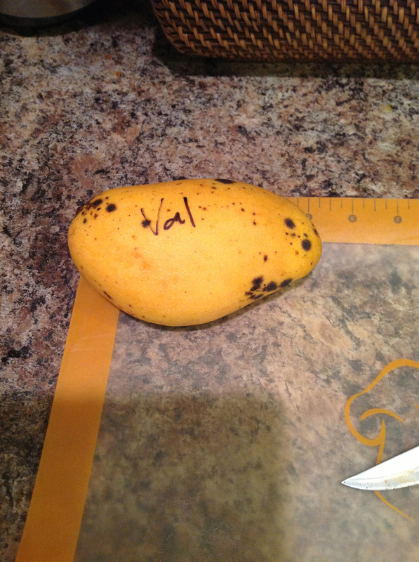 a111ada62214fea45bddf658674ae9bb