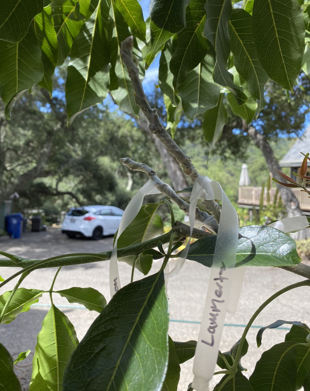 20D2290F-BD72-4EAD-A29B-4EAB7E78CA08