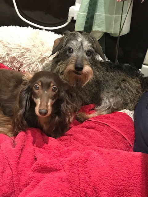 [Image: IMG-2212.jpg]