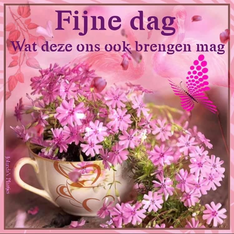 Bezoek mijn blog!
