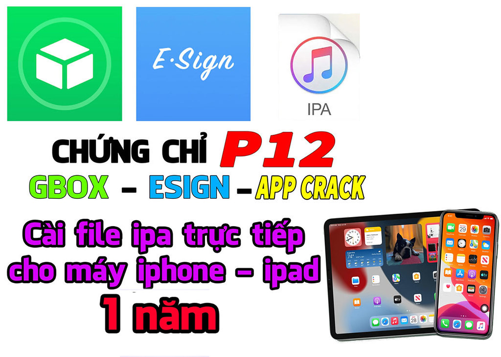 Chứng chỉ IOS | ESign