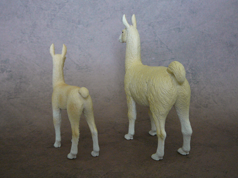 Mojö 2019 Llama and Cria- a walkaround by A.R.Garcia P1090605ed