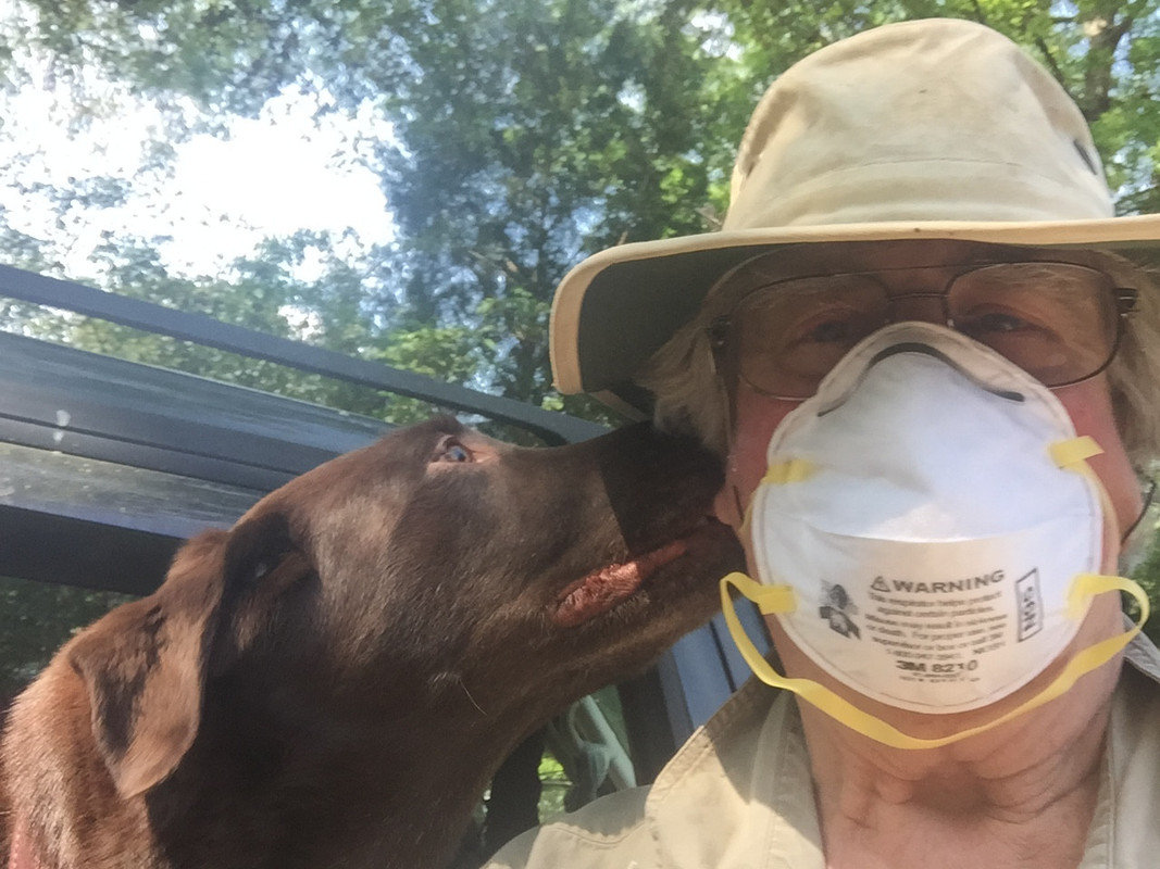 love in the time of Covid, apr20