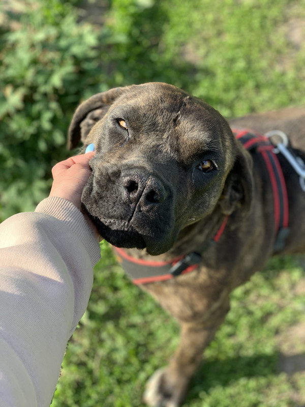 5366BF0C-592A-4FB5-AA44-935419F57BBA