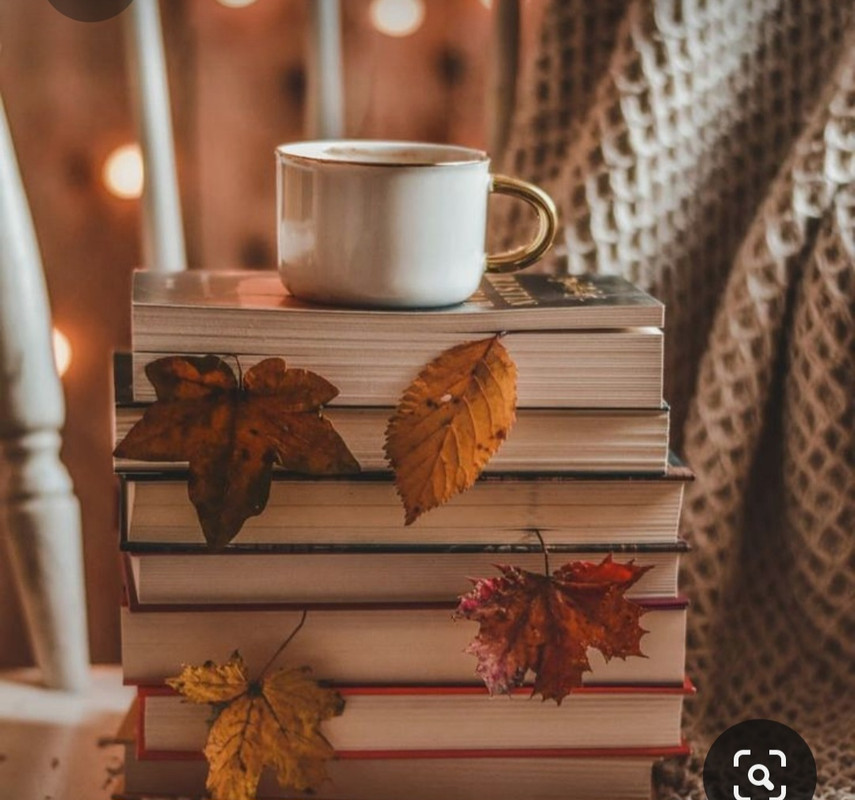 Screenshot_20231031_170928_Pinterest