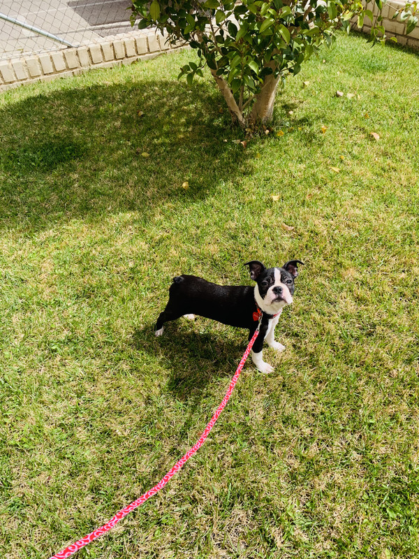 90F83E74-7610-49BF-BE63-3809CD498807