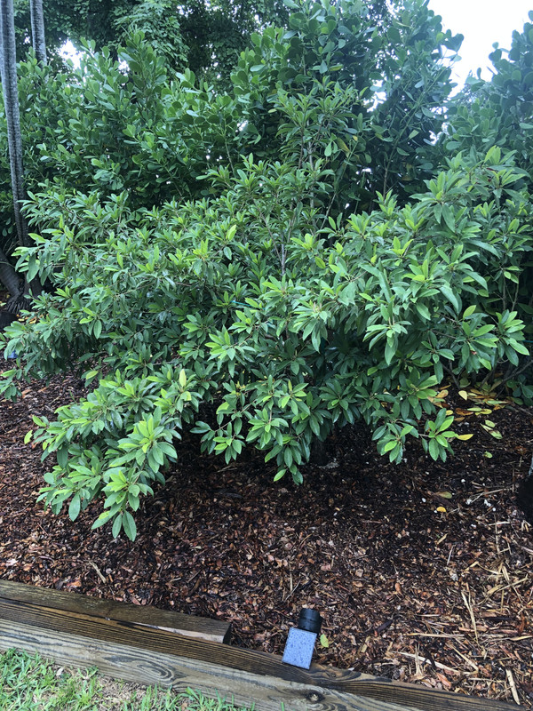 17432C82-FC29-4A00-863B-2A19E3AFFD5B